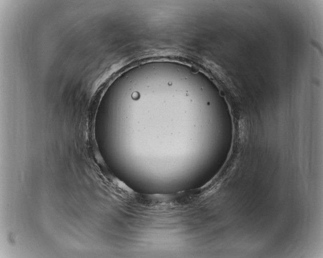 X0000100401165200806131007