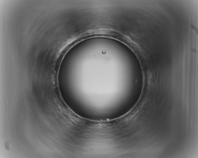 X0000100401166200806131007