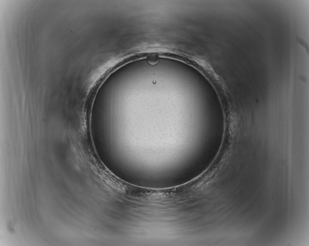 X0000100401167200806131007
