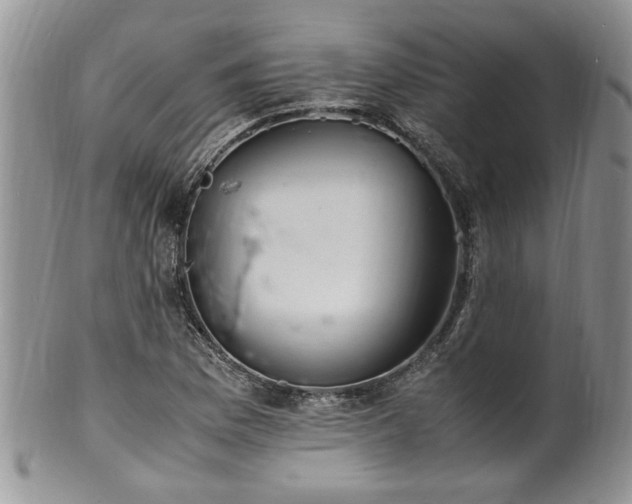 X0000100401169200806131007