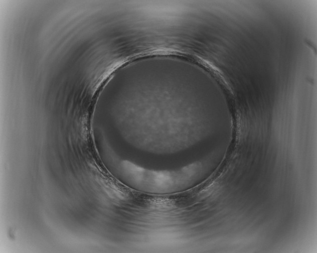 X0000100401170200806131007
