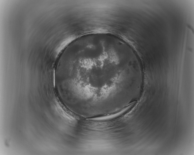 X0000100401171200806131007
