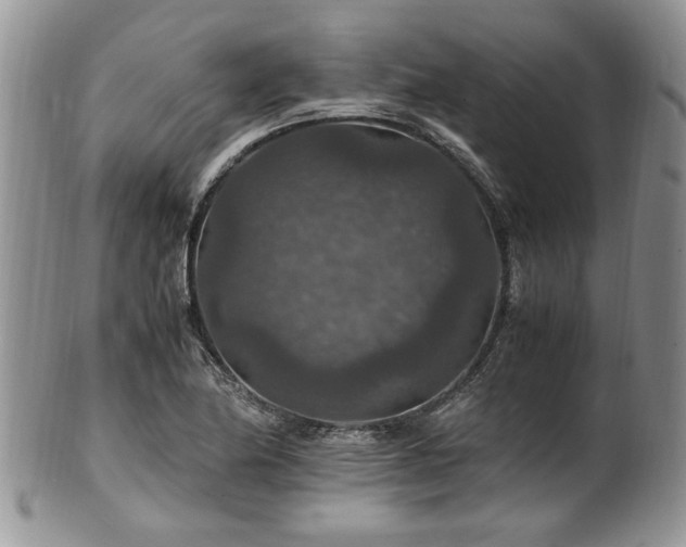 X0000100401174200806131007