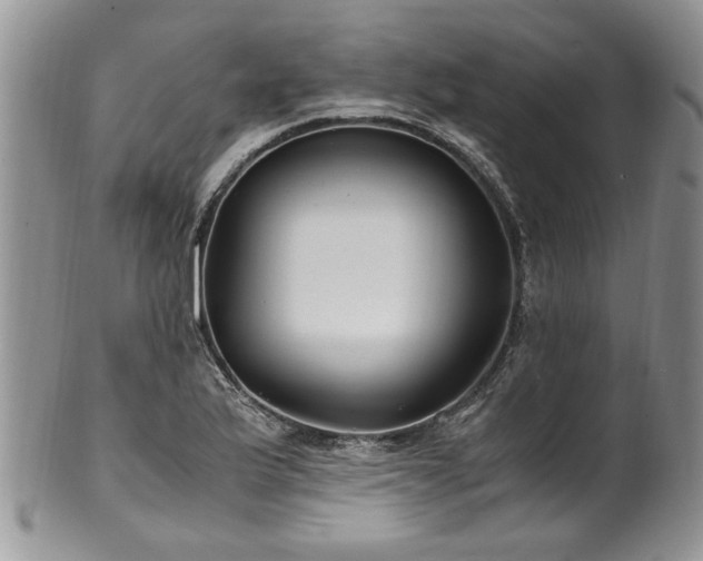 X0000100401175200806131007