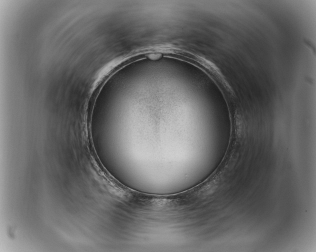 X0000100401176200806131007