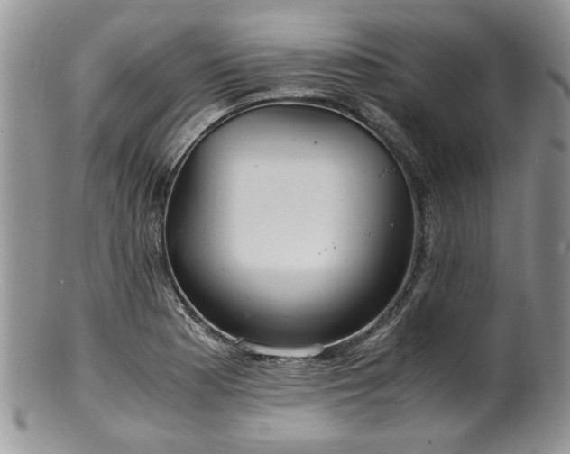 X0000100401177200806131007