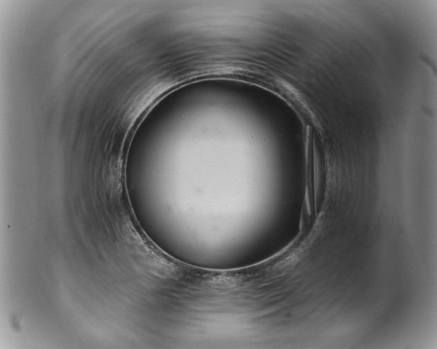 X0000100401178200806131007
