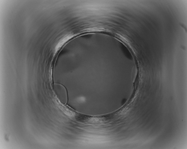 X0000100401179200806131007