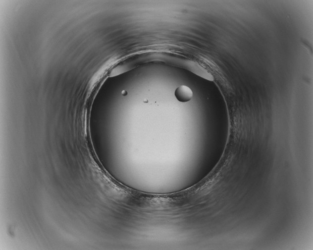 X0000100401180200806131007