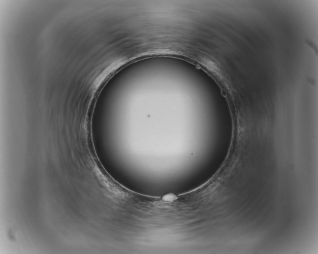 X0000100401181200806131007