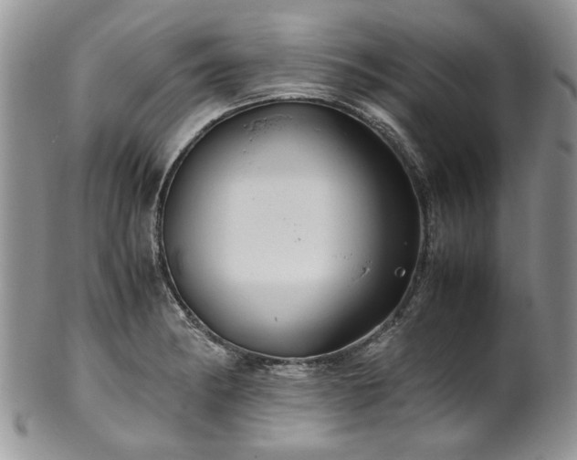 X0000100401182200806131007