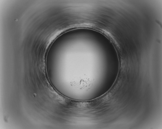 X0000100401184200806131007