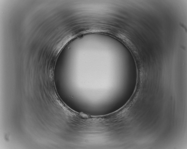 X0000100401185200806131007