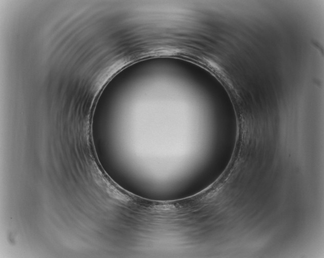 X0000100401186200806131007
