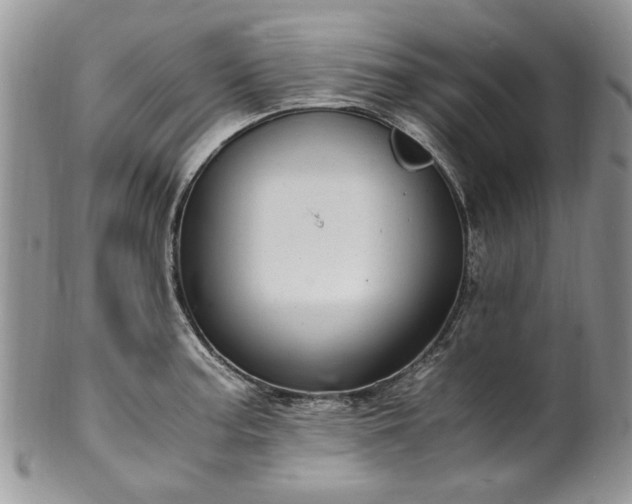X0000100401187200806131007
