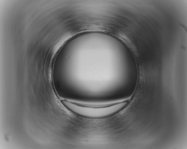 X0000100401188200806131007