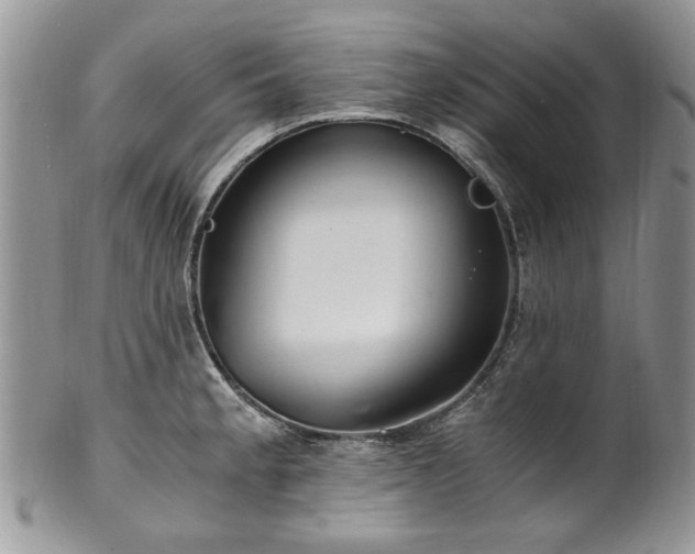 X0000100401189200806131007