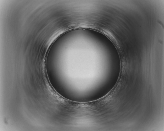 X0000100401190200806131007