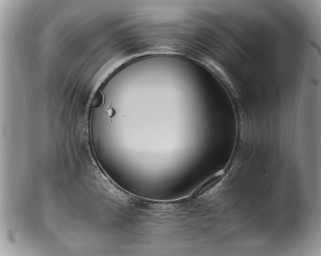 X0000100401192200806131007