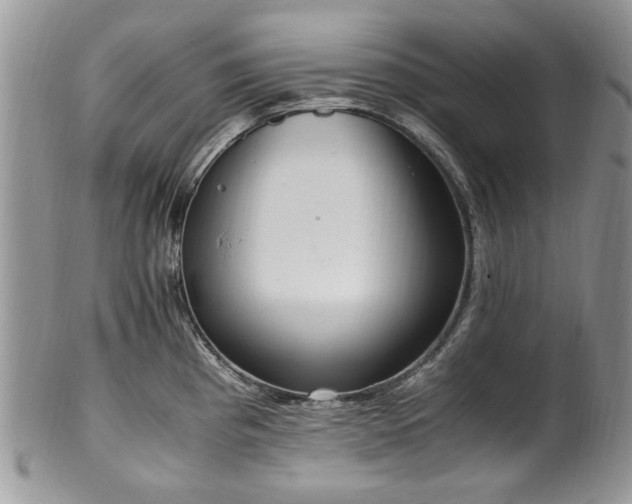 X0000100401193200806131007