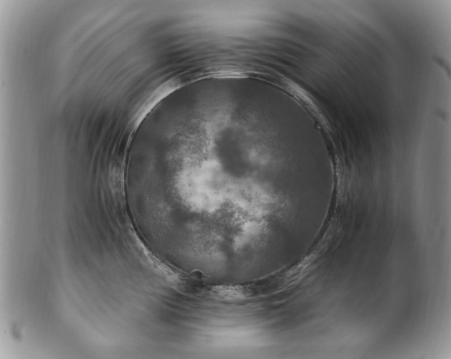 X0000100401194200806131007