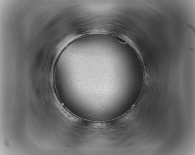 X0000100401195200806131007