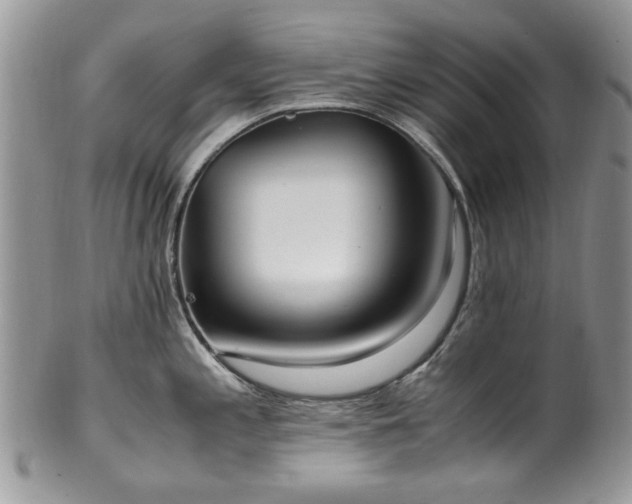 X0000100401197200806131007