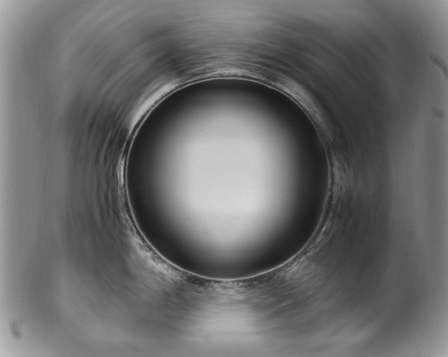 X0000100401198200806131007