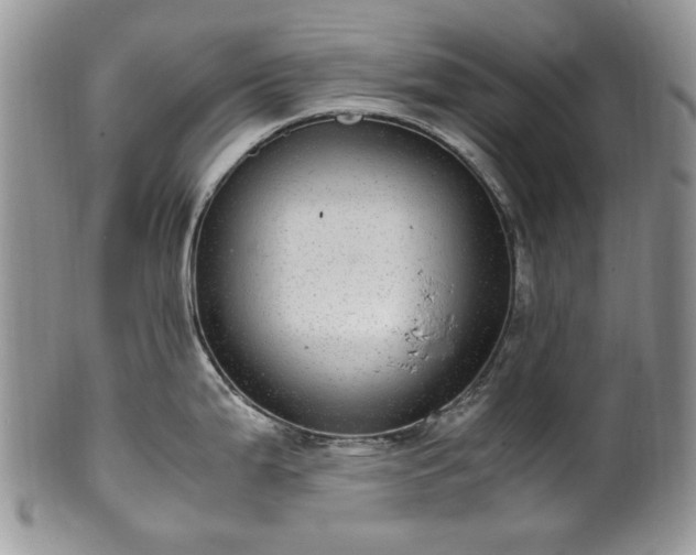X0000100401199200806131007