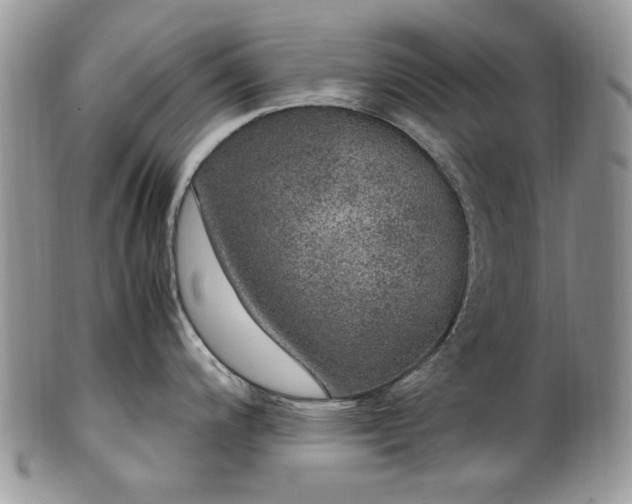 X0000100401200200806131007