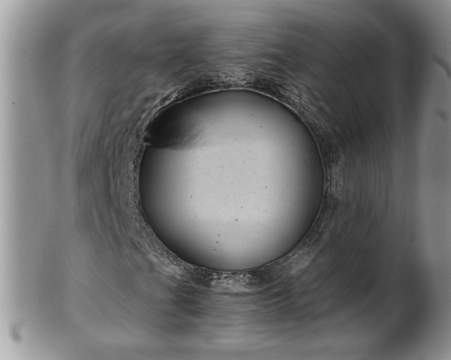 X0000100401201200806131006