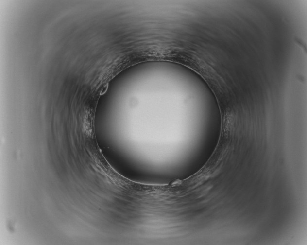 X0000100401202200806131006