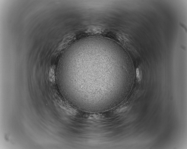 X0000100401203200806131006
