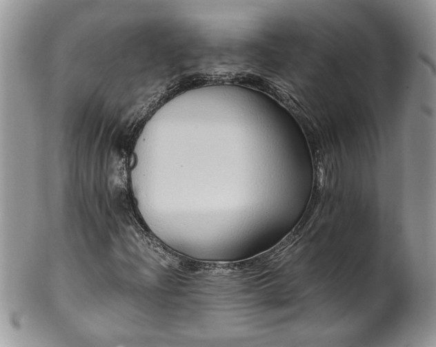 X0000100401204200806131006