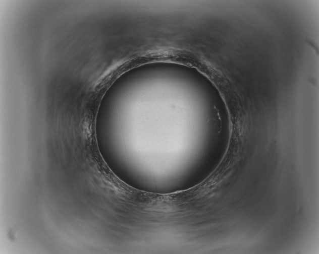 X0000100401206200806131006