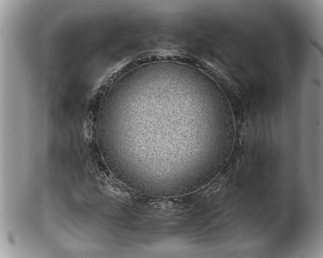 X0000100401207200806131006