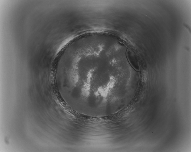 X0000100401208200806131006