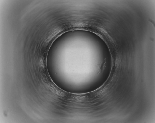 X0000100401209200806131006