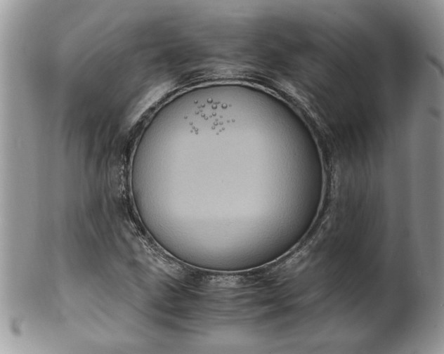 X0000100401211200806131006