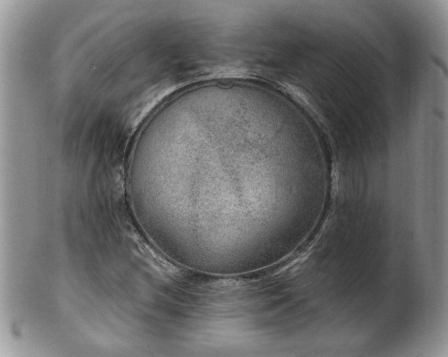 X0000100401212200806131006