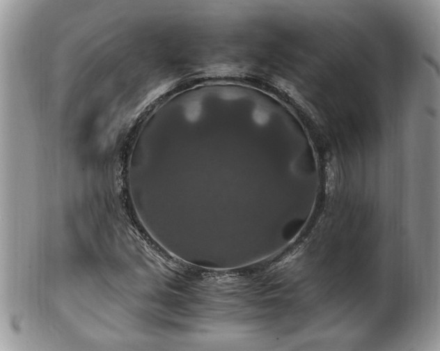 X0000100401213200806131006