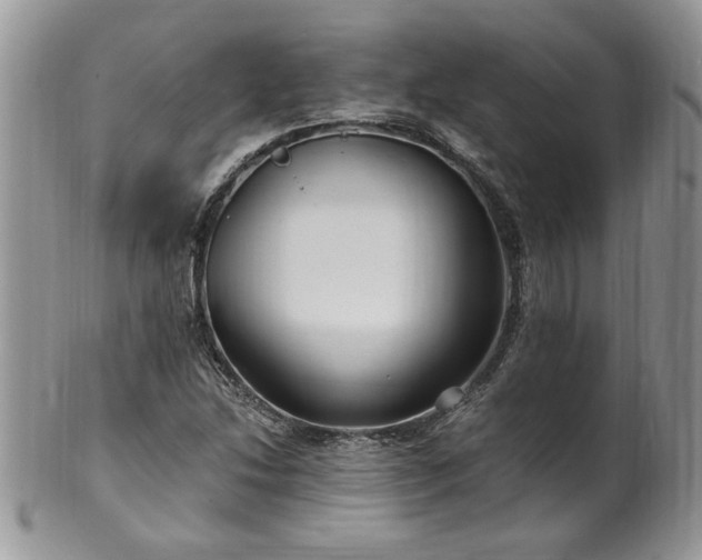 X0000100401214200806131006