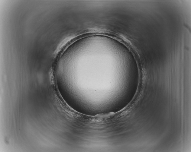 X0000100401215200806131006