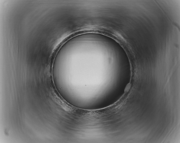 X0000100401216200806131006