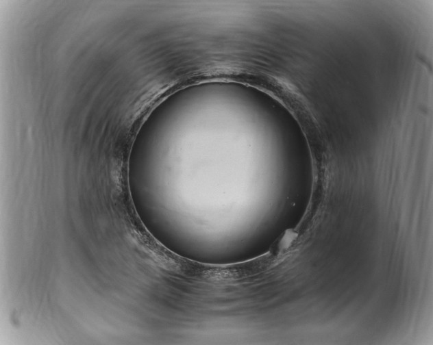 X0000100401217200806131006
