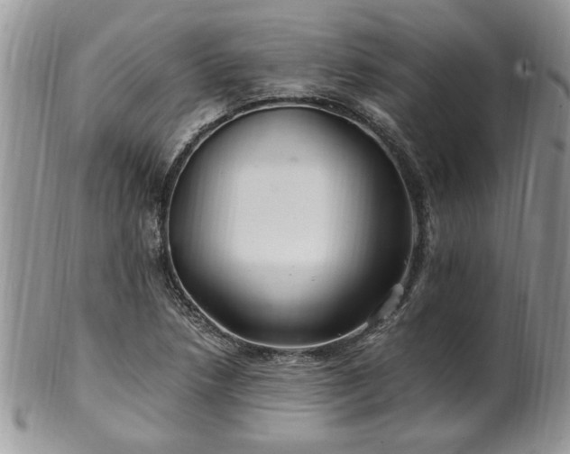 X0000100401218200806131006