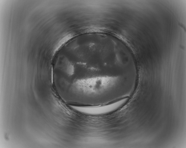 X0000100401219200806131006