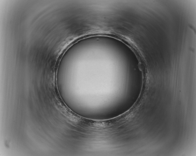 X0000100401220200806131006