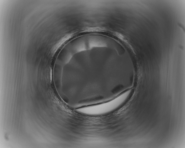 X0000100401221200806131006