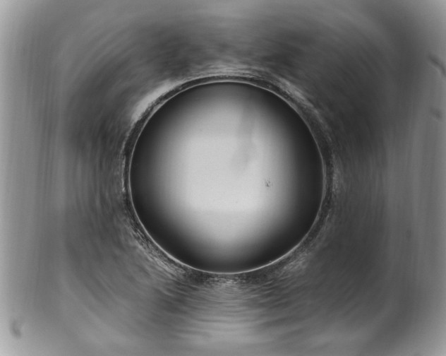 X0000100401222200806131006